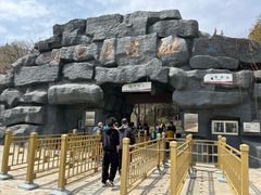-北京周口店北京人遗址博物馆