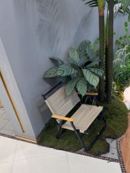 -八佰伴8008星级形象店