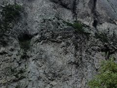 -雁荡山大龙湫景区