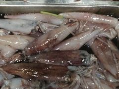 -俏东方·海味水饺·青岛菜(崂山店)