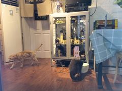 -花与咖啡馆(金星楼店)