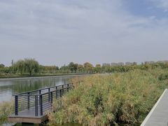-郑东新区龙湖公共艺术中心