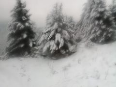 -太子岭滑雪场