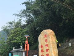 -羚羊峡古栈道森林公园