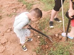 -武汉开心果园农业发展有限公司