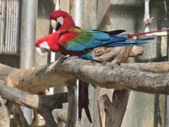 -大连森林动物园