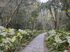 -桂林古东瀑布景区
