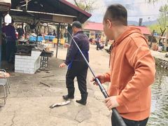 -可心烤鱼
