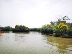 -大湾区中央湿地公园