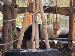 -泉州海丝野生动物世界