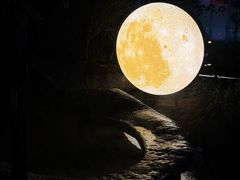 -明月山天沐温泉度假村