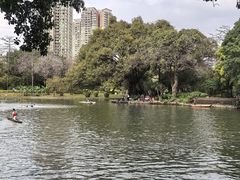 -晓港公园