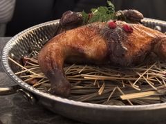 -Hi City·城市之巅