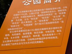 -重庆彩云湖湿地公园