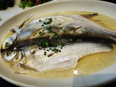 清蒸白水鱼-锡和无锡菜(景丽苑店)