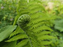 -国家植物园南园