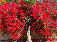 -厦门国家会计学院