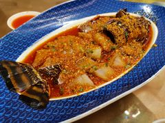 -大浪潮·潮汕菜·招牌生腌小青龙(福田店)
