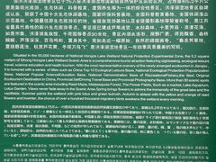 -泗洪洪泽湖湿地景区