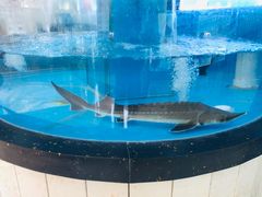 -潮福城大酒楼(二环东路店)