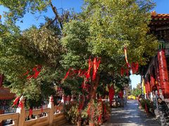 -宝通禅寺