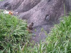 -兰剑驾校(汉阳校区)