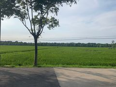 -嘉北郊野公园