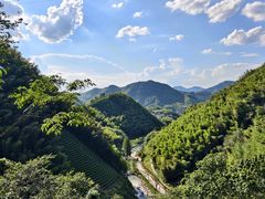 -莫干山风景区