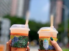 芒果红火龙卡士-野萃山·潮汕厚果汁(十亩地店)