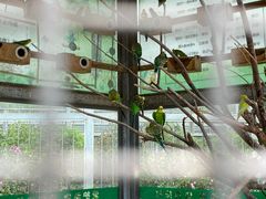 -水绘园