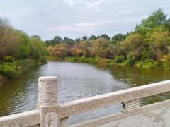 -日照海滨国家森林公园