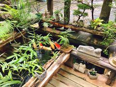-The Flowers Coffee(南山店)