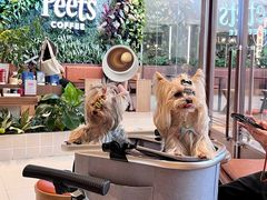 -Peet's Coffee皮爷咖啡(武商Mall手作店)