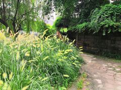 -成都市活水公园