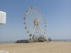 -奉贤海滩