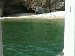 android_upload_pic-海驴岛(荣成市)