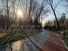 -大兴滨河森林公园