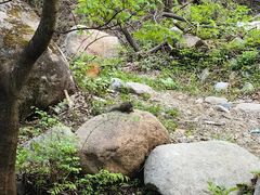 -玉渡山自然风景区