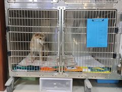 -美联众合动物医院·24h转诊中心