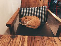 -时光转角咖啡馆(西康路店)