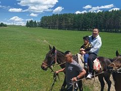 -塞罕坝国家级自然保护区