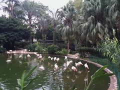 -九龙公园