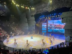 -重庆国际马戏城