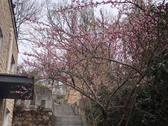 -紫金山索道-售票处