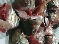 -章记正宗南岗鱼蛋火锅