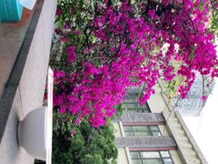 -廖记老砂锅(上清寺店)
