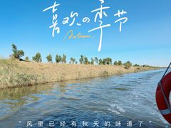 -南大港湿地风景区