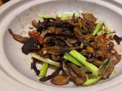 -鸽子窝(宋庄店)
