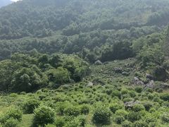 -祁门牯牛降观音堂风景区