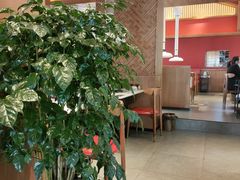 大堂-木王宴语·野生鲜菌火锅(玉河店)